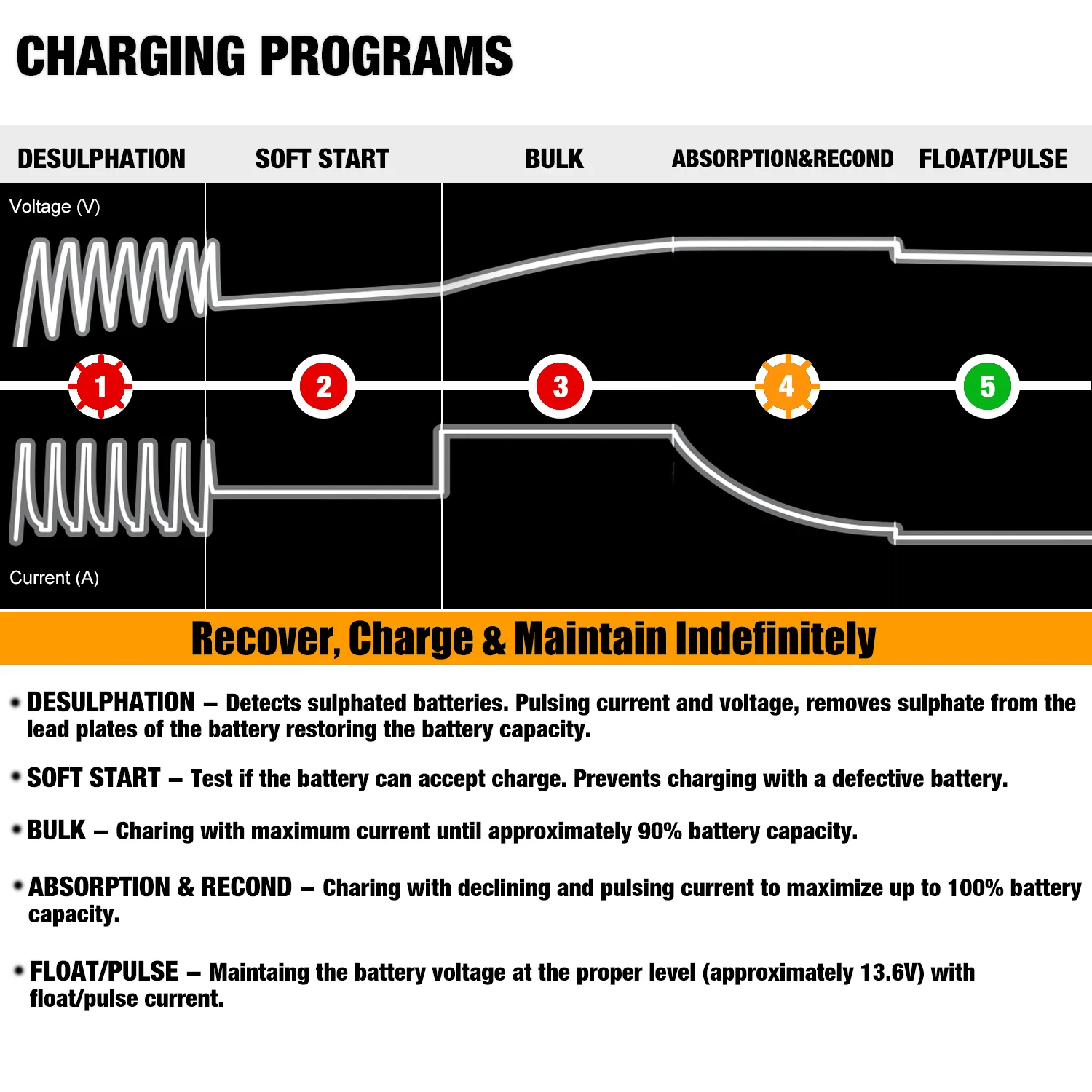 MOTOPOWER MP00205A 12V 800mA Fully Automatic Battery Charger/Maintainer for Cars, Motorcycles, ATVs, RVs, Powersports, Boat and More. Smart, Compact and Eco Friendly - Image 7